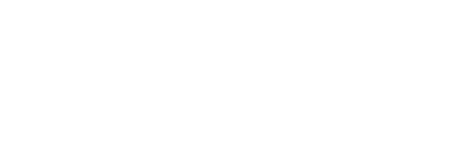 Vazolo