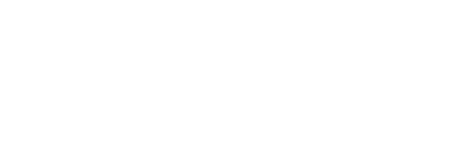 Vazolo
